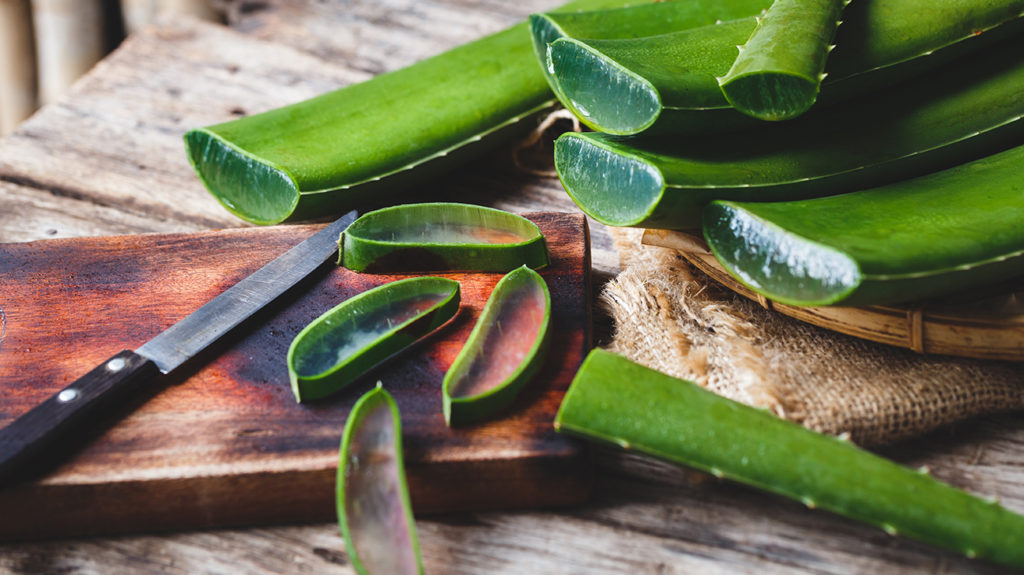 Aloe Vera: The Timeless Beauty Ingredient - Vigorous Herbs